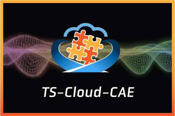 ts-cloud-cae